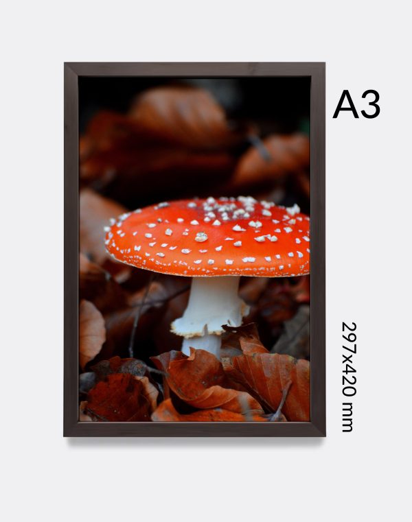 Imprimir fotografía A3