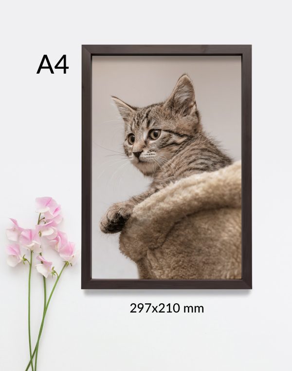 imprimir fotografía a4