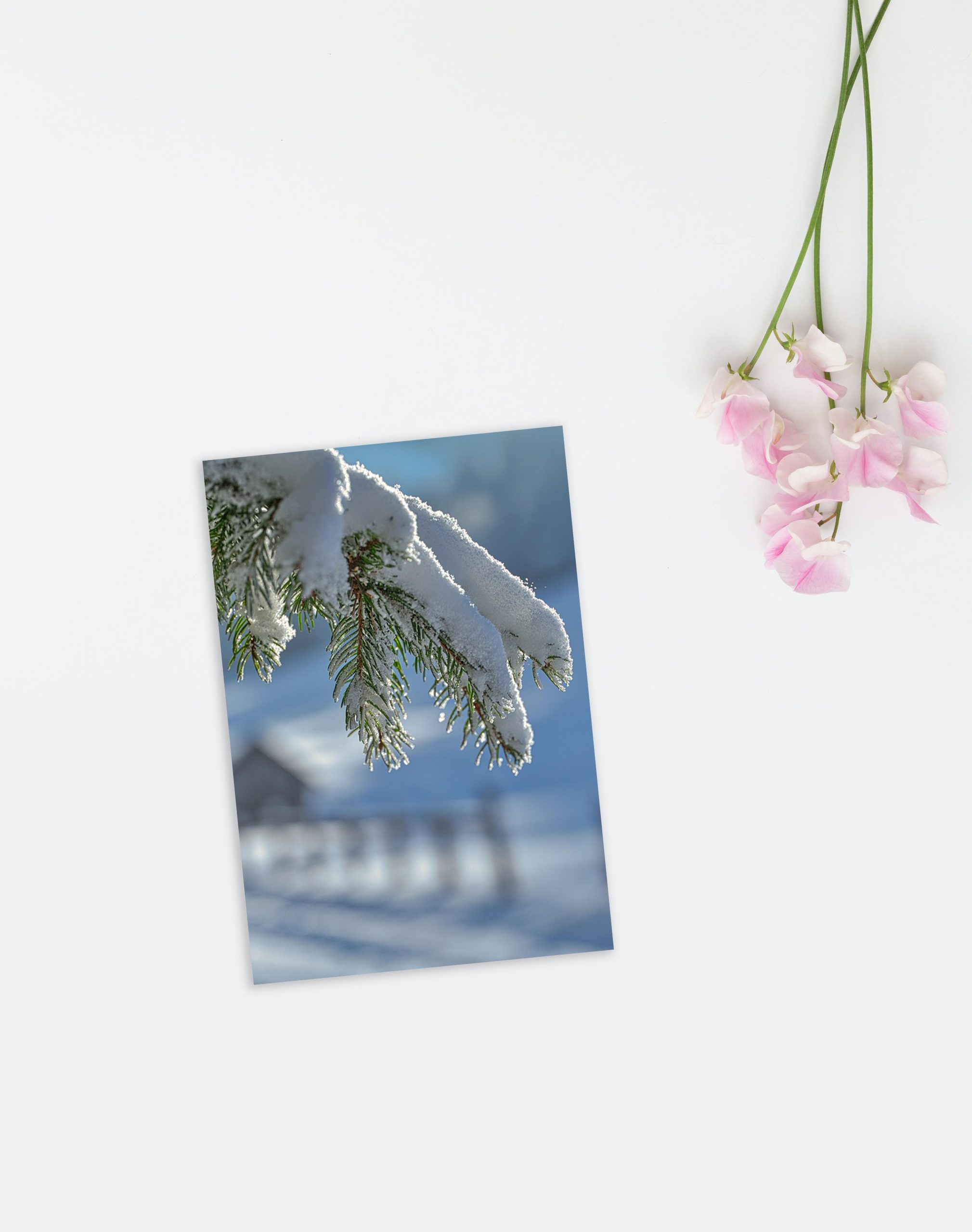 Revelado digital 4,25 x 6,8 cm