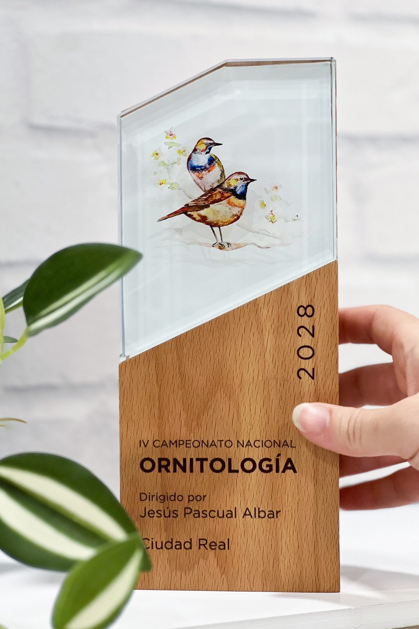 Trofeo o placa personalizada - Imagen 4
