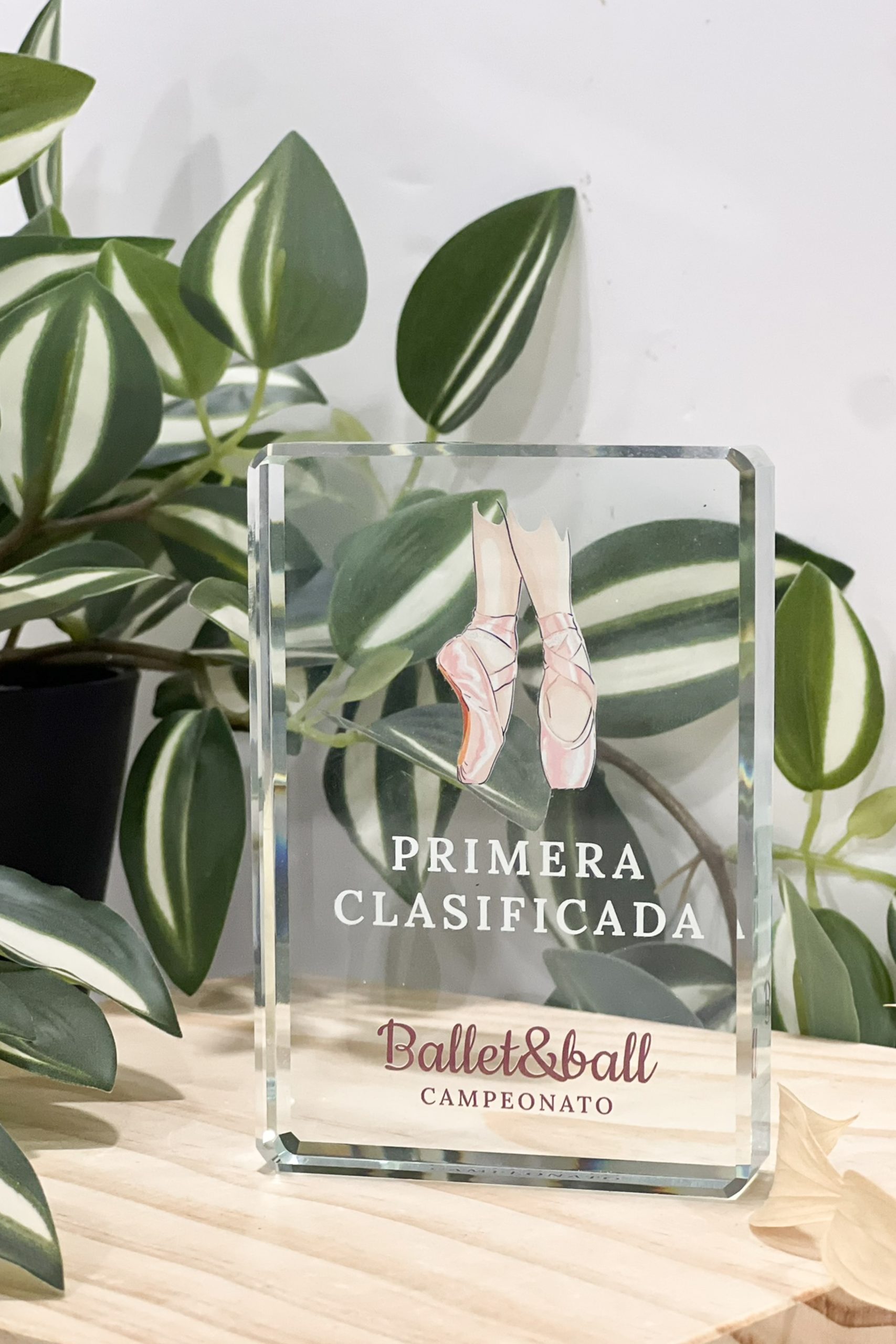 Trofeo o placa personalizada - Imagen 9